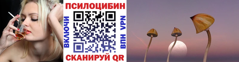 МЕГА   darknet клад  Магас  Псилоцибиновые грибы MAGIC MUSHROOMS  наркошоп 